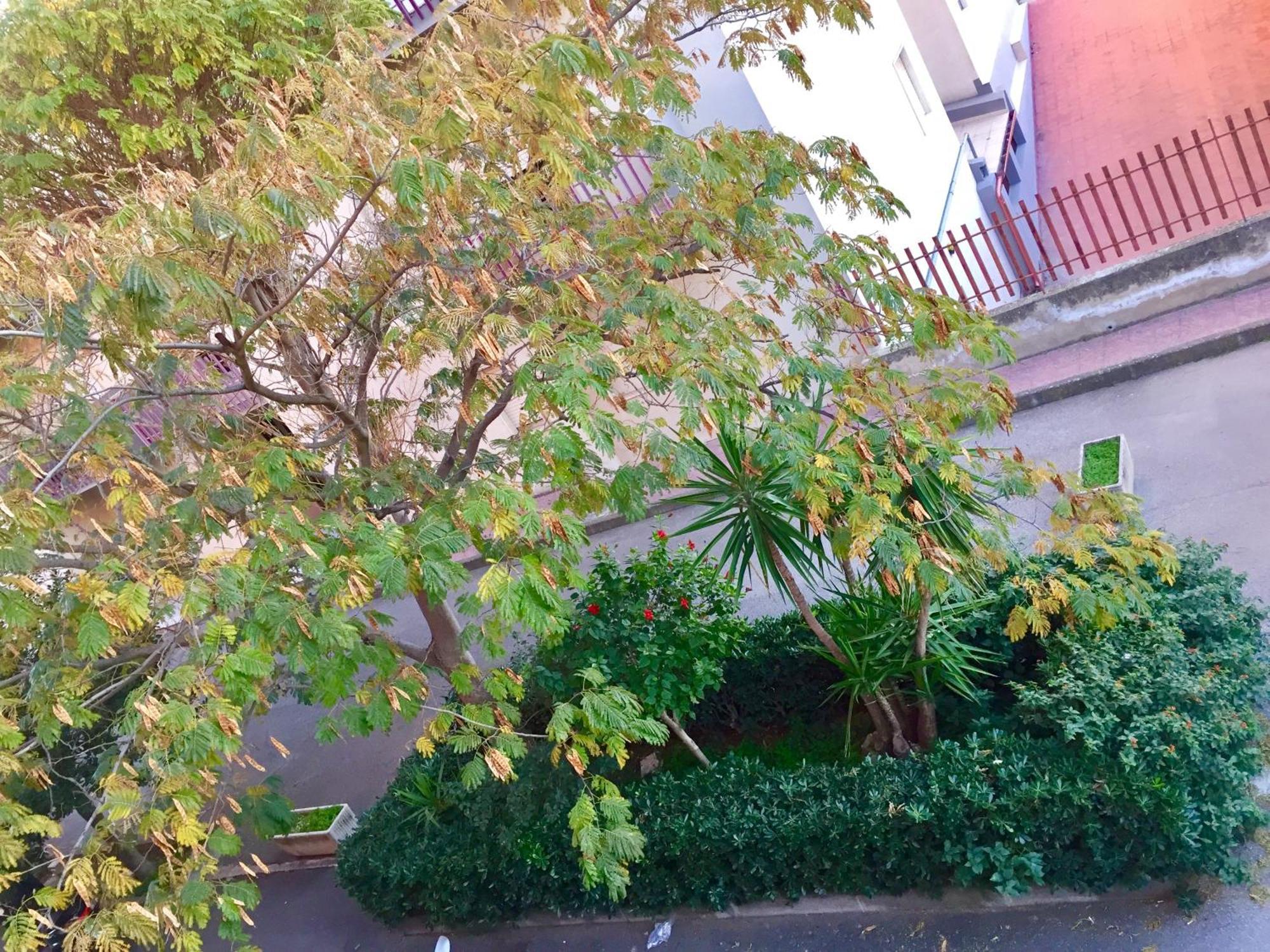 Apartament Casa Cristina Comiso Zewnętrze zdjęcie